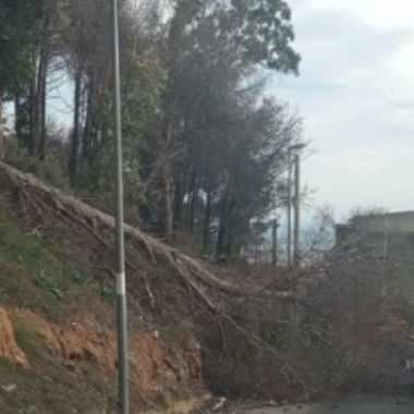 Verde. Via San Martino. Dichiarazione di Antonino Randazzo (M5S)