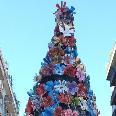 Comune, Corepla e RAP inaugurano un albero simbolo di riciclo e rinascita a piazza Camilleri
