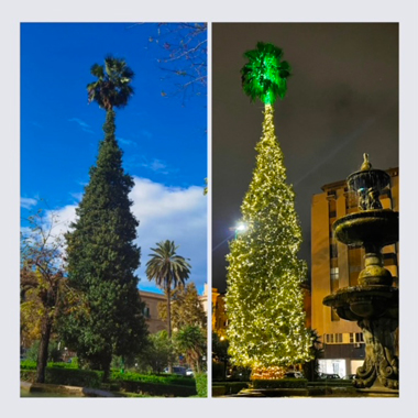 Piazza Alberico Gentili. Accensione albero di Natale