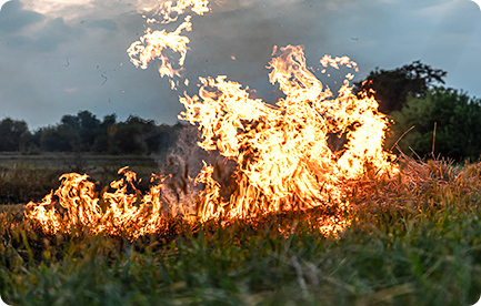 Rischio Incendi Boschivi e D'interfaccia